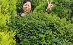 S货是不是想挨C大JBC